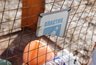 В Екатеринбурге за день вывезли больше 83 тонн отходов с улиц