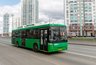 Прокуратура Екатеринбурга начала массовую проверку транспортных компаний после смертельного ДТП
