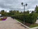 Труп в лесопарке Екатеринбурга: СКР пока не комментирует обстоятельства гибели мужчины