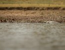 В Краснотурьинске спасатели достали из реки Турья тело утонувшей 10-летней девочки