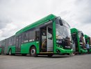 Изменение маршрутов автобусов в Екатеринбурге 20–21 июня из-за полумарафона «Серые ночи»