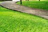 Газон — это не боль, а радость: пять плюсов, ради которых я снова и снова сею траву
