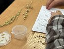 Свердловских школьников приглашают на целевое обучение в аграрный вуз с рабочим местом после выпуска