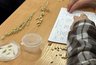Свердловских школьников приглашают на целевое обучение в аграрный вуз с рабочим местом после выпуска