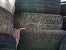 В Екатеринбурге мобильный пункт приёма шин за день собрал больше тонны покрышек