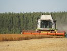 Аграриям — топливо в первую очередь: ФАС усиливает контроль за продажами на АЗС и нефтебазах