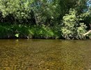 В Ревде утонул 76-летний мужчина — ещё одна трагедия на водоёмах Урала