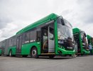 140 новых автобусов выйдут на маршруты Екатеринбурга