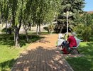 Пенсионеры массово закрывают сберкнижки: в чём причина