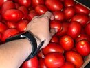 Понюхайте у плодоножки: три простых правила выбора вкусных помидоров