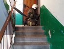 11 пожаров за сутки в Свердловской области: один погибший, шестеро пострадавших