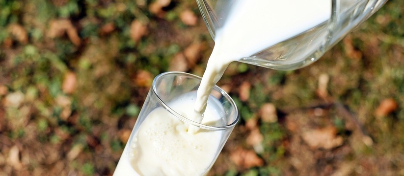 Пальмовое масло в молоке: Роскачество рассказало, какую молочку не нужно покупать