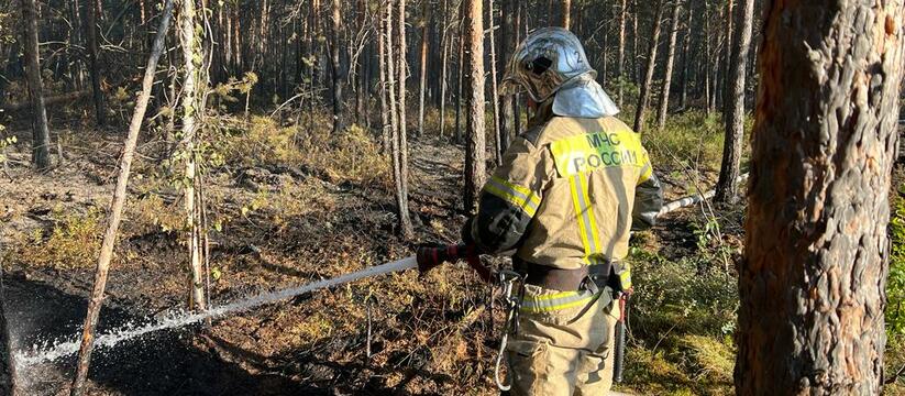 В Свердловской области отменили особый противопожарный режим