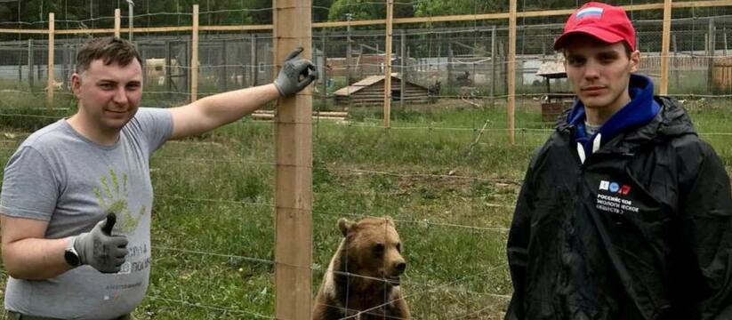 Активисты Свердловского отделения РЭО с волонтерами Алексея Вихарева построили вольер для медведицы в центре реабилитации животных "Альфа"