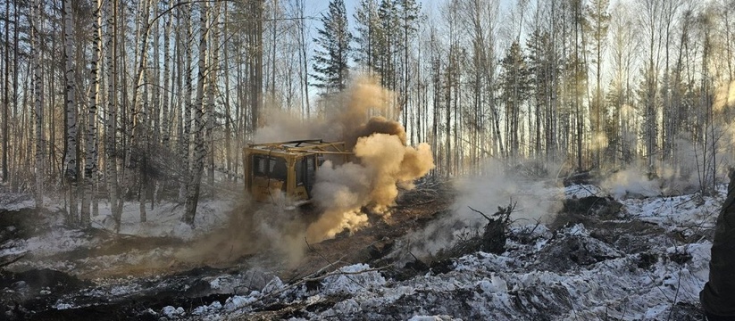 Огонь приблизился к жилым домам: под Екатеринбургом начали гореть леса