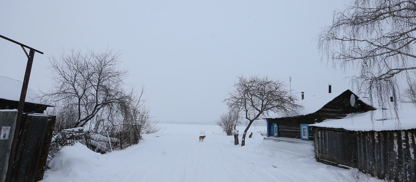 Не смог открыть захлопнувшуюся дверь: в Свердловской области насмерть замерз полуторагодовалый ребенок