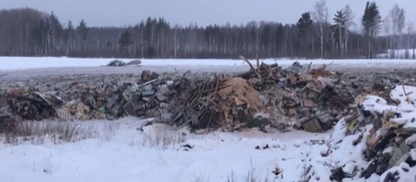 Экологи обнаружили нелегальный полигон отходов вблизи от посёлка Нагорный