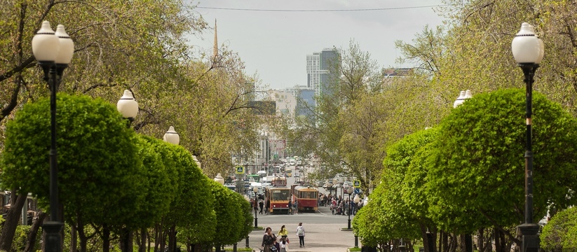 Какие будет конец апреля в Свердловской области: синоптики шокировали прогнозом