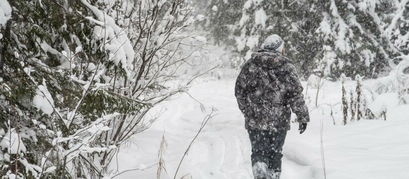 Сильный снегопад всё заполонит: синоптики Свердловской области предупредили о надвигающейся непогоде