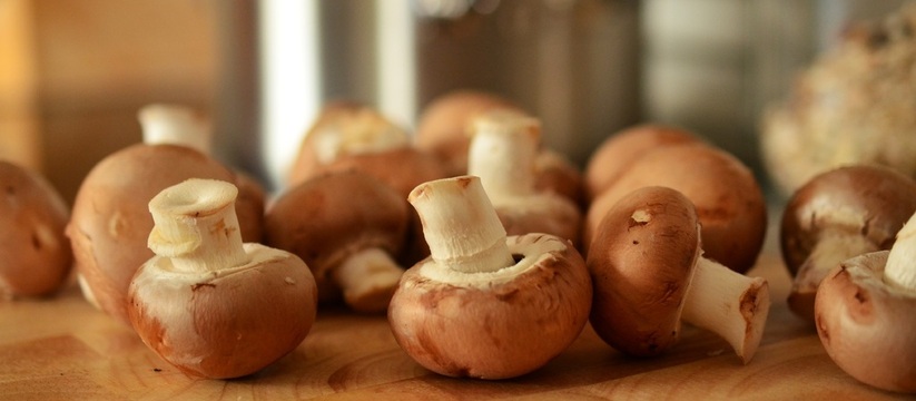 Попробуйте приготовить котлеты из индейки в грибном соусе: невероятно вкусно