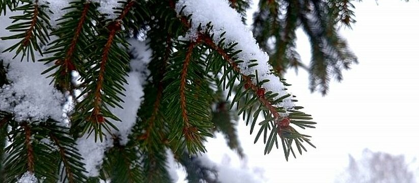 Морозам конец: в Свердловской области резко потеплеет