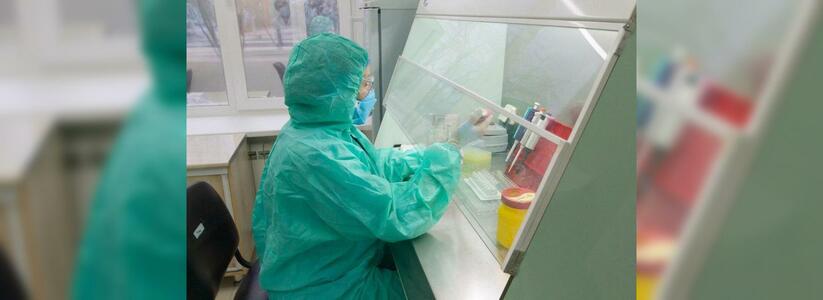 В Екатеринбург доставили тесты на антитела по коронавирусу