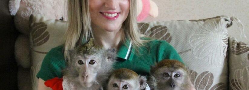 Екатеринбурженка о своих трех обезьянах: «Я – вожак в стае»