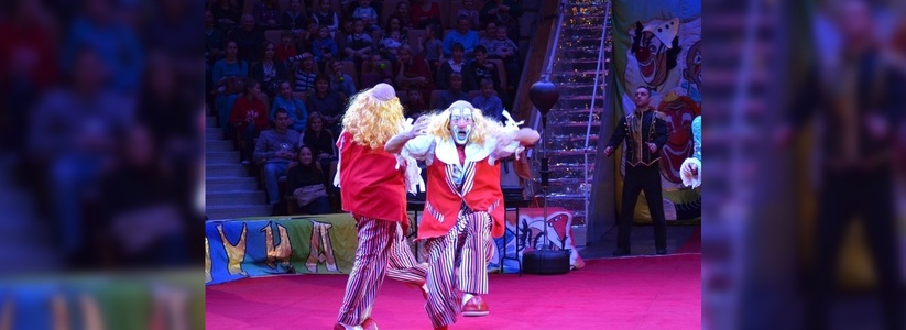 "Культура – не шоу-бизнес": свердловский омбудсмен – о ценах в екатеринбургском цирке