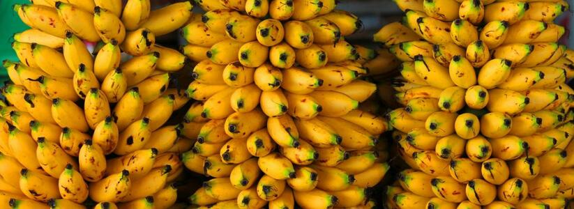 Эксперты: в России подорожают бананы