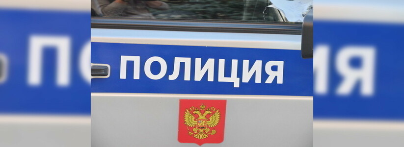 Полиция Екатеринбурга задержала 17-летнего серийного угонщика