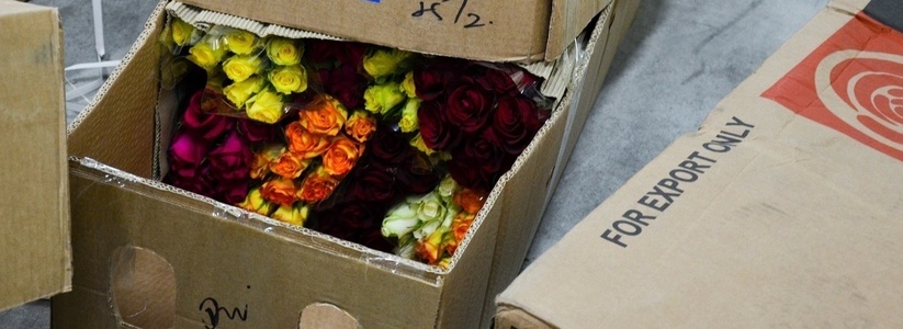 К 8 Марта в Екатеринбург привезли 400 тонн цветов