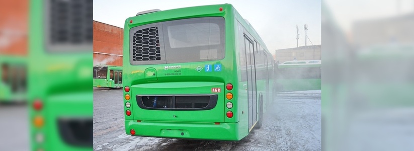 Автобус № 42 свяжет Академ, Мичуринский и Светлый