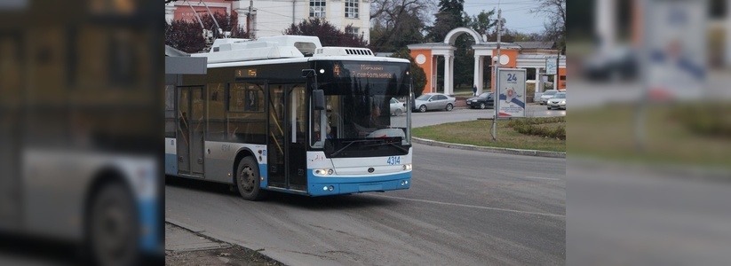 В Екатеринбурге опоздавший на троллейбус пассажир искусал водителя