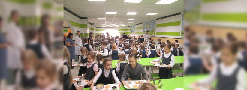 В Екатеринбурге подписали документ о бесплатном питании для школьников