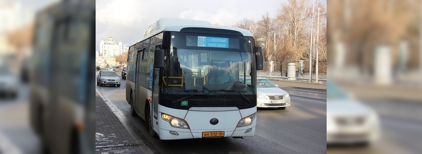 Власти Екатеринбурга обсуждают возвращение автобуса, ездившего до Солнечного