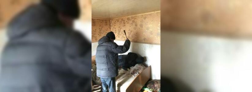 В Екатеринбурге осудили убийцу спящей соседки, разводившей мопсов