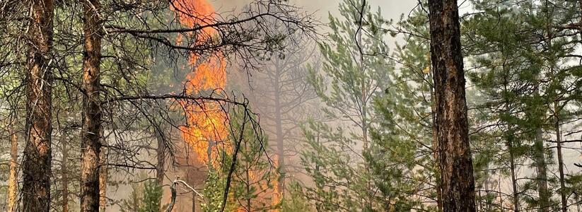 Количество лесных пожаров в Свердловской области выросло до 60. НАША сводка событий