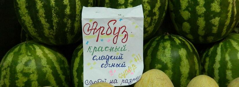 Как вырастить арбузы на Урале