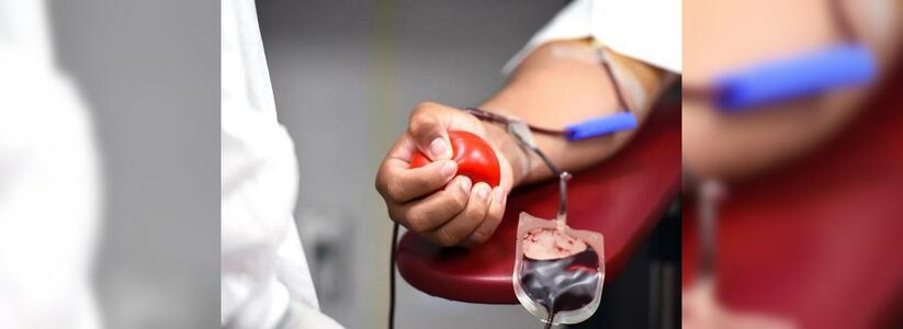 В Екатеринбурге айтишников призывают стать донорами крови