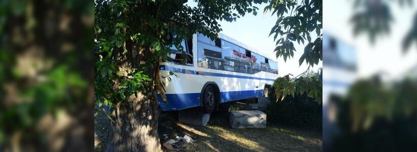 Стали известны подробности ДТП с пассажирским автобусом на Плотинке: видео