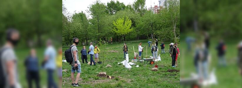 Прокуратура организовала проверку после высадки деревьев в парке УрГУПС