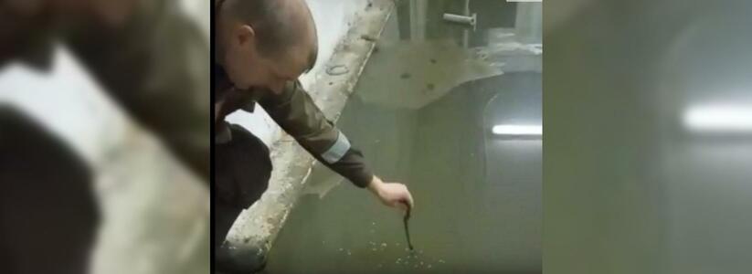 На фекальное озеро в подвале многоэтажки жалуются жители Лечебного в Екатеринбурге