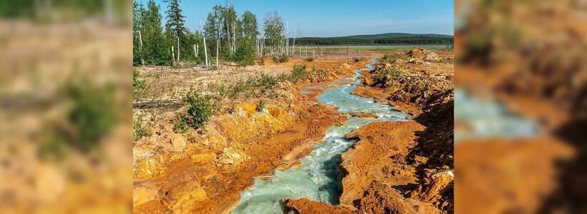"Пруд так и должен выглядеть": под Екатеринбургом кислотные реки загрязнили окружающую среду