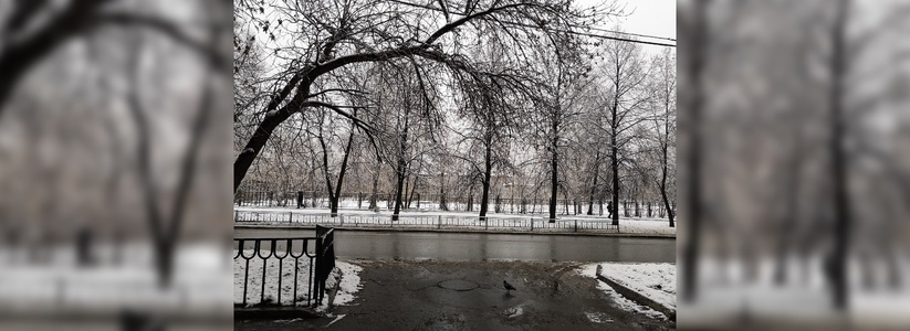 Лепим снеговиков и встаем на лыжи: как в Екатеринбурге и области встретили первый серьезный снег