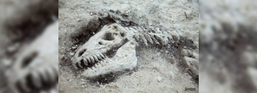 Скелет динозавра в сугробе: в Екатеринбурге провели «археологические раскопки» - 15 февраля 2015 года