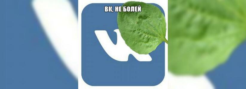 #вкживи: «ВКонтакте» упал, в остальных соцсетях паника и мемы - 4 июля 2015 года