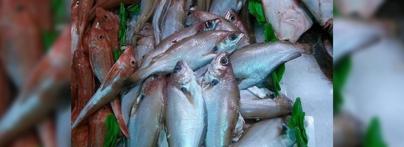 В Свердловской области забраковали половину рыбной продукции - 24 августа 2015