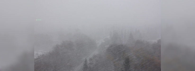 В Екатеринбурге прошел мощный снегопад - 9 октября 2015 - фото, видео