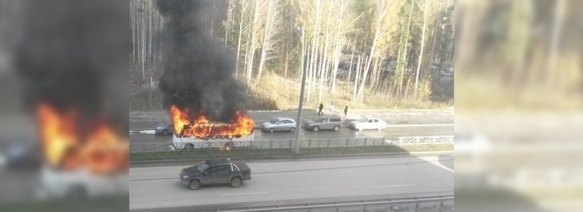 В Екатеринбурге полицейские поймали поджигателя автобуса - 14 октября 2015 года