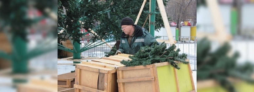В Екатеринбурге в ЦПКиО имени Маяковского начали собирать елку - октябрь 2015 - фото
